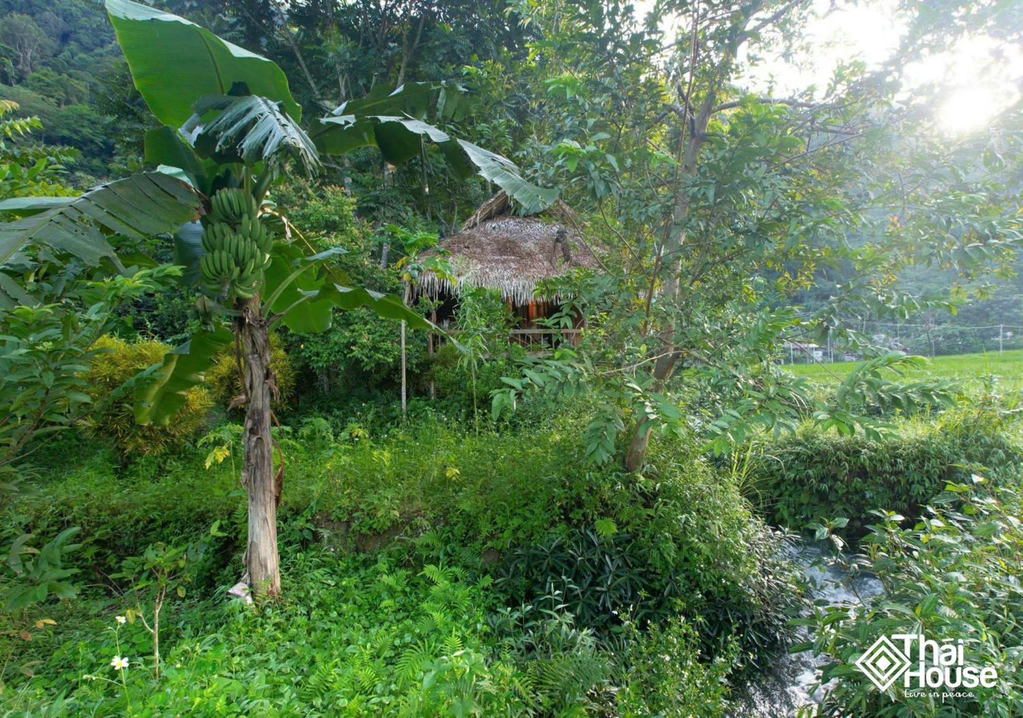 Thai House Pu Luong - Century Old Stilt House With Terrace Views Huong Ba Thuoc Екстериор снимка
