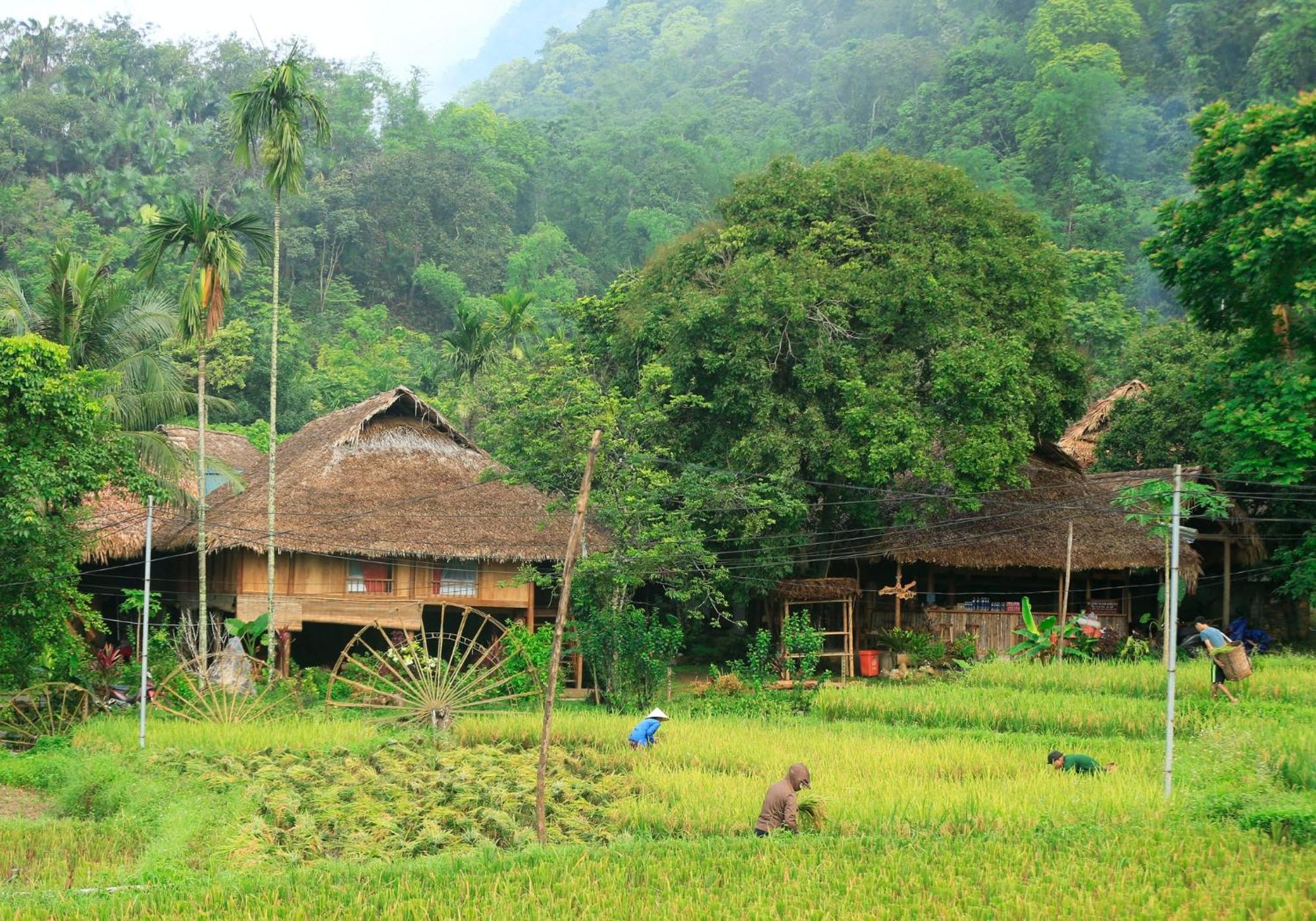 Thai House Pu Luong - Century Old Stilt House With Terrace Views Huong Ba Thuoc Екстериор снимка